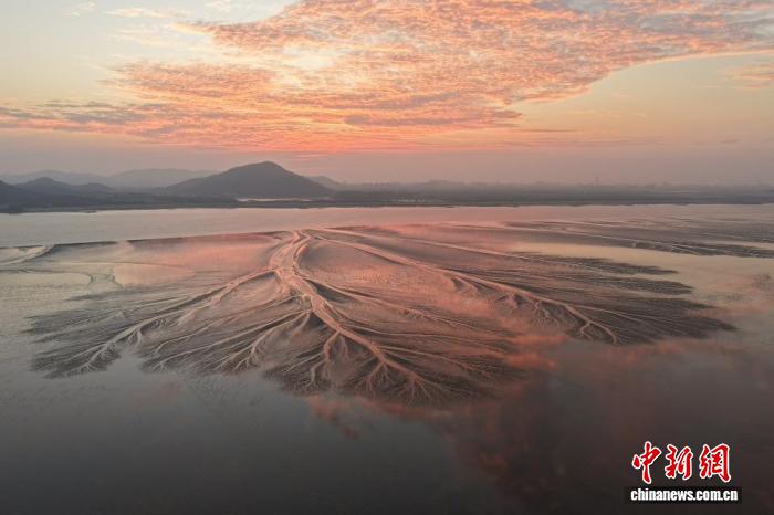 “镜观”钱塘江：“大地之树”吸引八方拍客