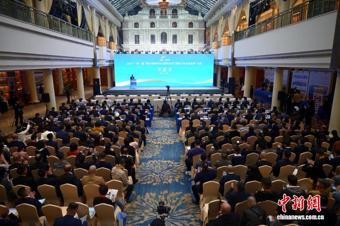 侨界代表为“川品出海”献良策：以侨为桥助力多维布局