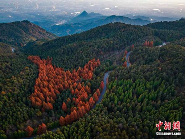 人这一辈子，一定要去爬一趟金华山！