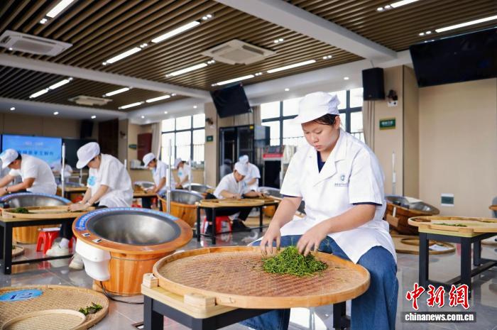 海南中职院校学子比技能 四类赛项锤炼“工匠精神”