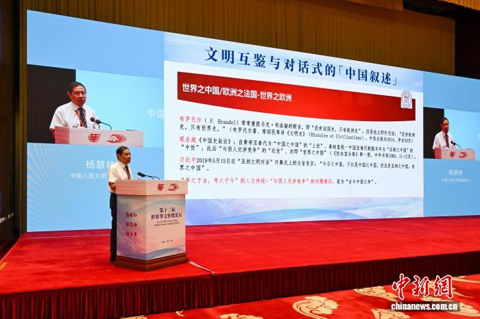 杨慧林：华文媒体助海外读者在对话中理解“中国叙述”