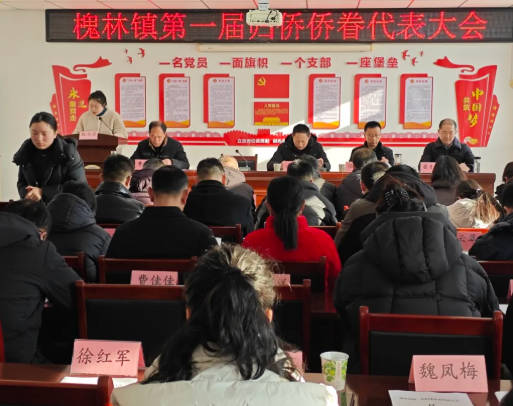 安徽巢湖首个基层侨联成立 全市统战工作力量再添新翼