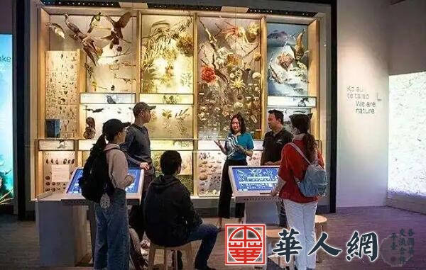 无国考、不设限，扎堆新西兰公务员的留学生已经后悔了 