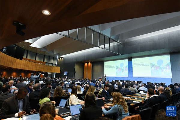 世贸组织报告：人工智能有望显著推动全球贸易增长