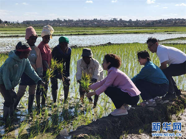 湖南推动“非洲母亲新农场”项目稳步落地