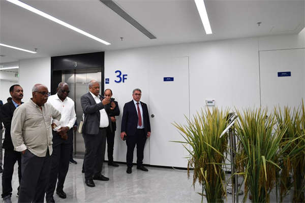 多国驻华大使：“共创美好未来”